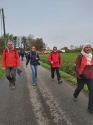 Wandeltocht in Oedelem