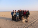 Strand- en Polderwandeling Heist-aan-Zee